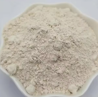 Materie prime refrattarie Ossido di magnesio in polvere 97% 98% Mgo Magnesia elettrofusa Morta Magnesia bruciata